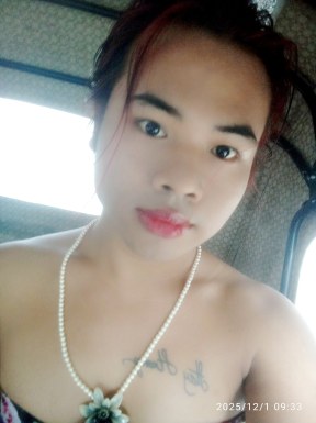 Thai ladyboys for dating / Ladyboys from Philippines for dating