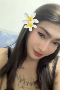 Thai ladyboys for dating / Ladyboys from Philippines for dating