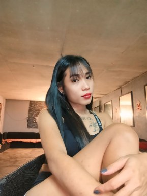 Thai ladyboys for dating / Ladyboys from Philippines for dating