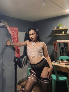 Thai ladyboys for dating / Ladyboys from Philippines for dating