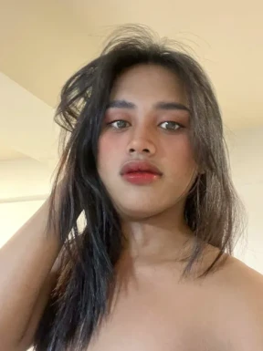 Thai ladyboys for dating / Ladyboys from Philippines for dating