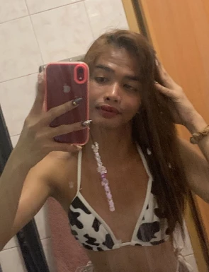 Thai ladyboys for dating / Ladyboys from Philippines for dating