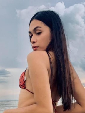 Thai ladyboys for dating / Ladyboys from Philippines for dating