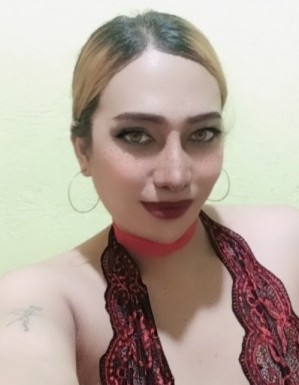 Thai ladyboys for dating / Ladyboys from Philippines for dating
