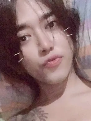 Thai ladyboys for dating / Ladyboys from Philippines for dating