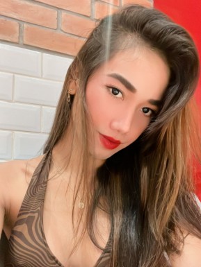 Thai ladyboys for dating / Ladyboys from Philippines for dating