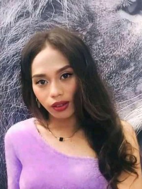 Thai ladyboys for dating / Ladyboys from Philippines for dating